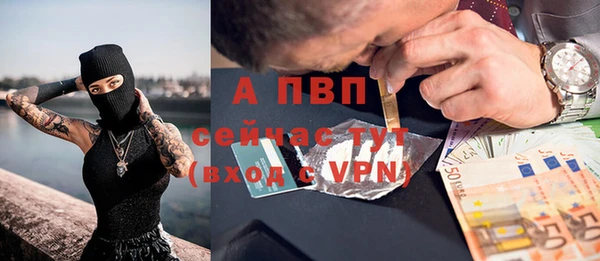 соль ск Бердск