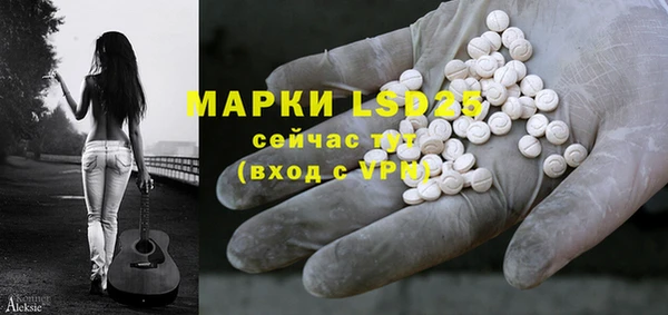 дживик Липки