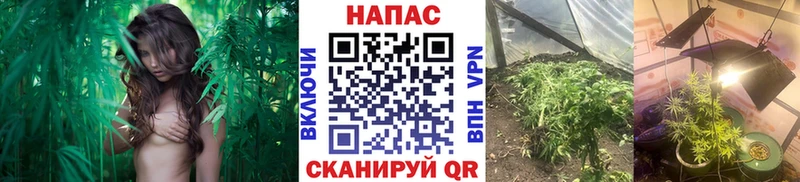 Шишки марихуана AK-47  Вилючинск 